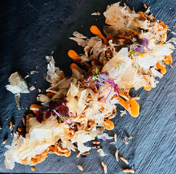 Crispy tuna roll